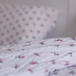 Eule شقة