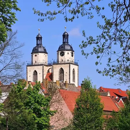 Eule * Wittenberg