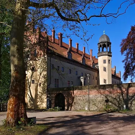Eule