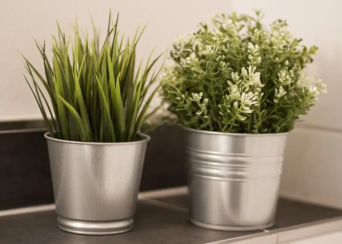 Eule * ルターシュタット・ヴィッテンベルク